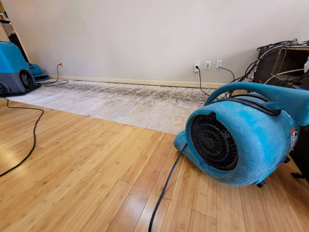 Professional Water Damage Repair technician working in Arlington, NE
